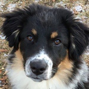 Meet your Posher, Jim